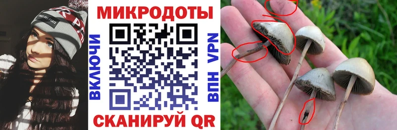 Псилоцибиновые грибы ЛСД  Сочи 