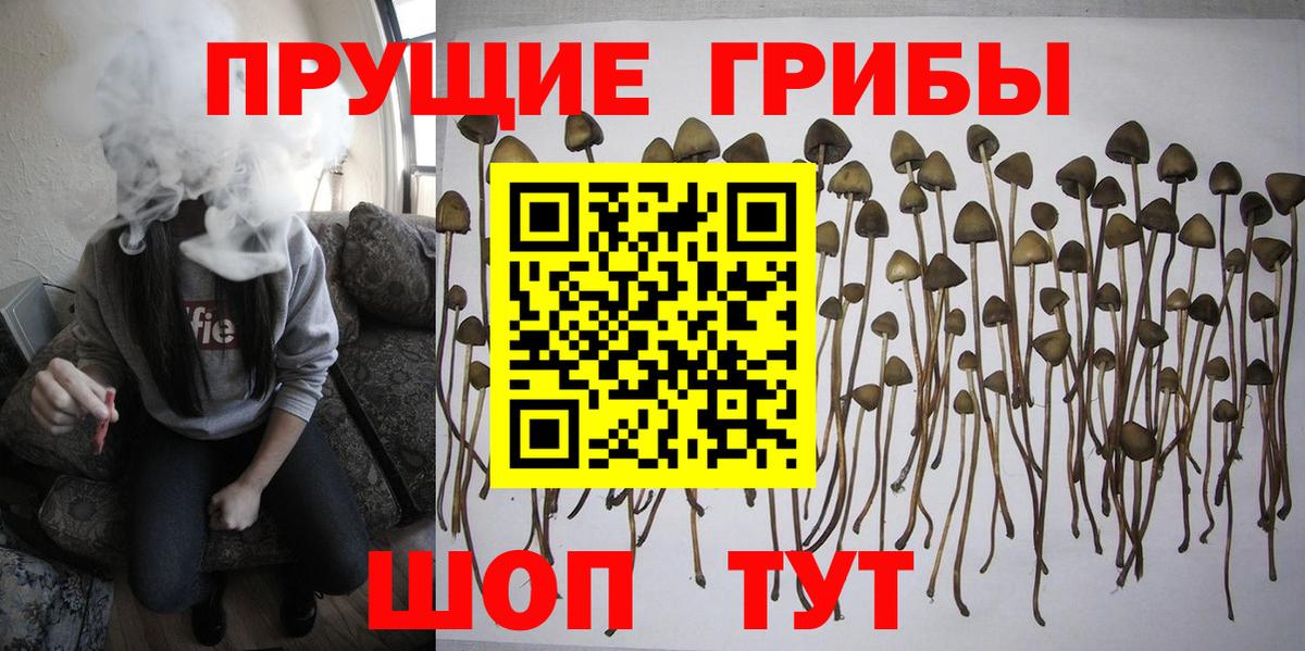 Псилоцибиновые грибы Cubensis  Вход с VPN  Псилоцибиновые грибы Psilocybe  как найти закладки  Сочи 