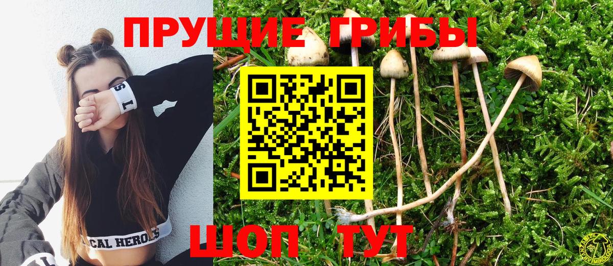 Галлюциногенные грибы ЛСД Сочи